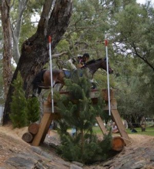 10654126_10153823943649824_517313135_n