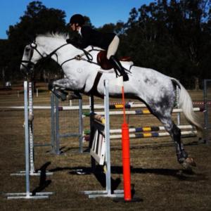 923493_10151600663124824_1163822879_n