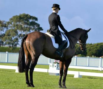 10462960_10152934588168662_4471830228056071829_n