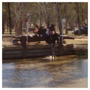 12404456_10153823943659824_591926310_n