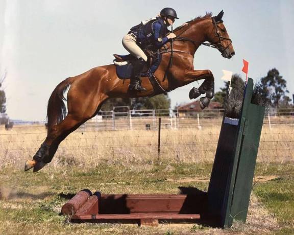 21740055_10155975564669384_5413262762286657301_n