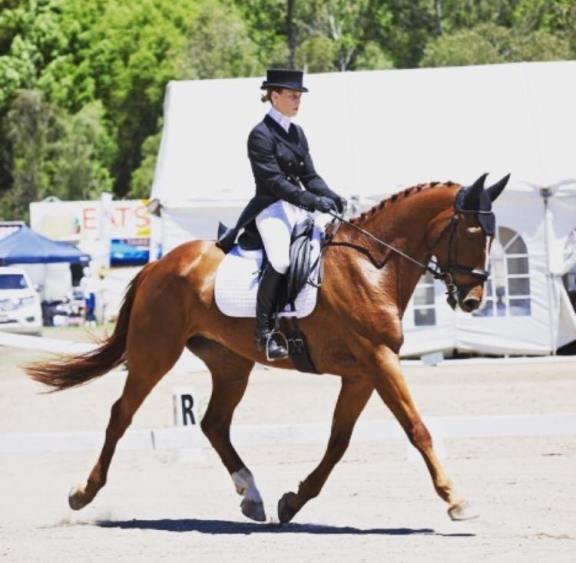 23471915_10156150648759384_2778399580988945575_n