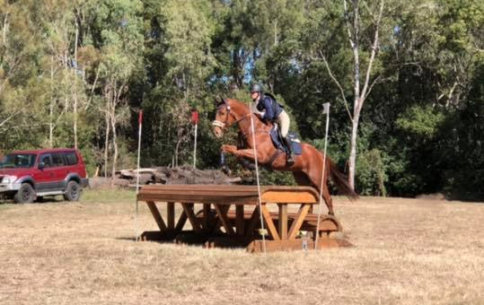 33041385_10156726100119384_8770131714430205952_n